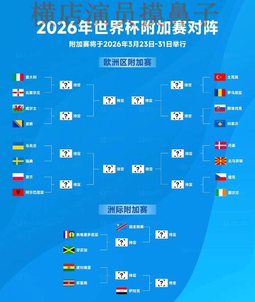 World Cup 2026期间热门世界杯竞猜平台揭秘与用户反馈分析